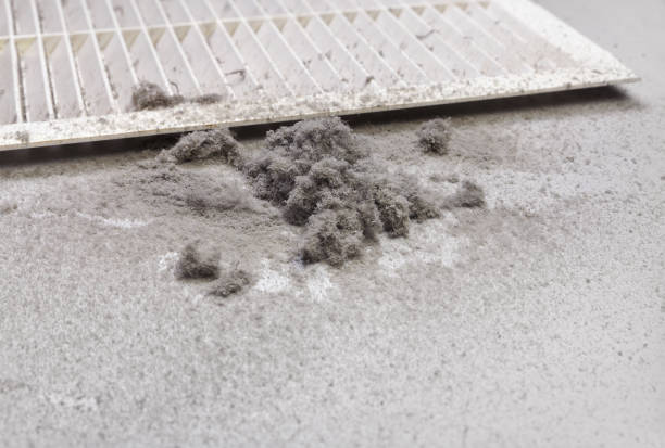 Best Air Duct Cleaning Near Me  in Granby, MO