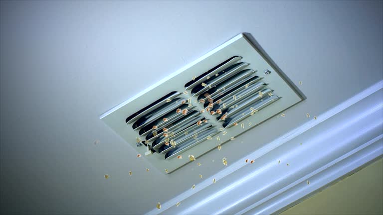 Reliable Granby, MO Airduct Cleaning Solutions